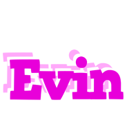 Evin rumba logo