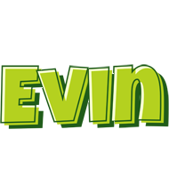 Evin summer logo