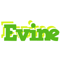 Evine picnic logo