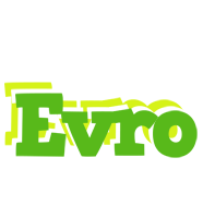 Evro picnic logo