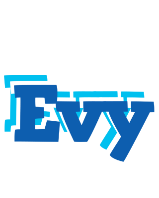 Evy business logo