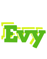 Evy picnic logo