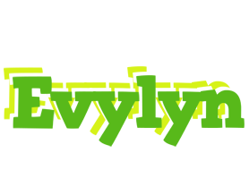 Evylyn picnic logo