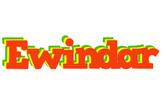 Ewindar bbq logo