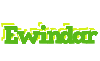 Ewindar picnic logo
