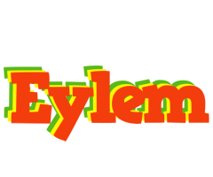 Eylem bbq logo