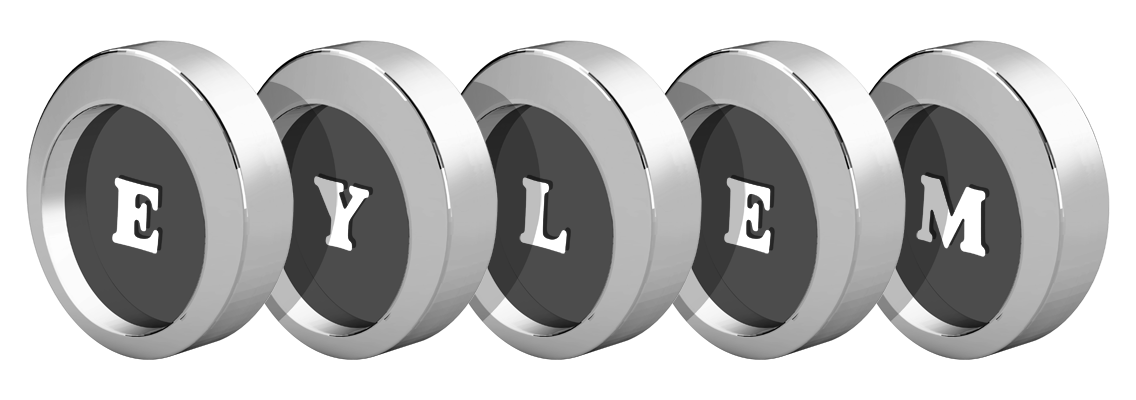 Eylem coins logo