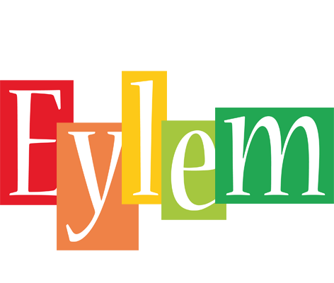 Eylem colors logo