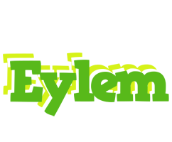 Eylem picnic logo