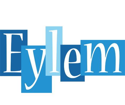 Eylem winter logo