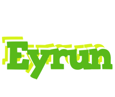 Eyrun picnic logo