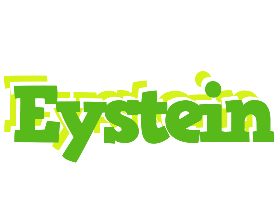 Eystein picnic logo