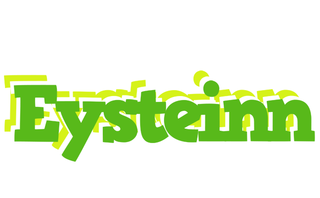 Eysteinn picnic logo