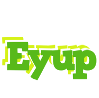 Eyup picnic logo