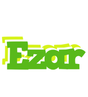 Ezar picnic logo