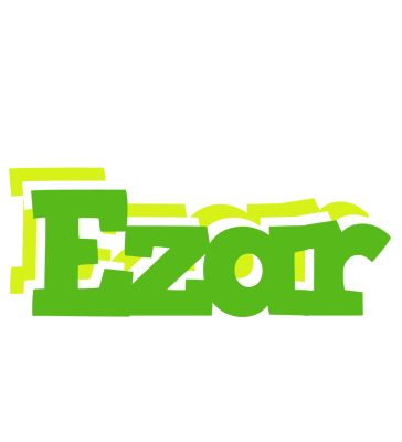 Ezar picnic logo