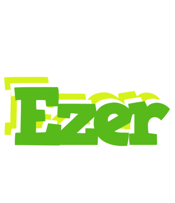 Ezer picnic logo