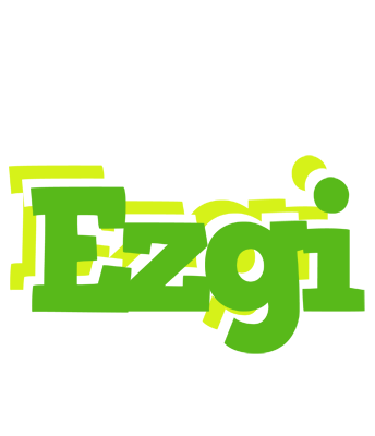 Ezgi picnic logo