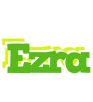 Ezra picnic logo