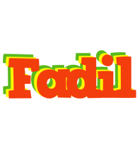 Fadil bbq logo