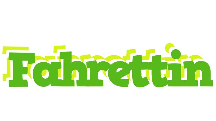 Fahrettin picnic logo