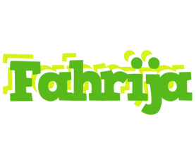 Fahrija picnic logo