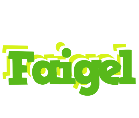 Faigel picnic logo