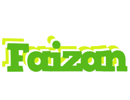 Faizan picnic logo