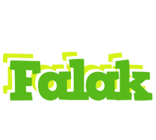 Falak picnic logo