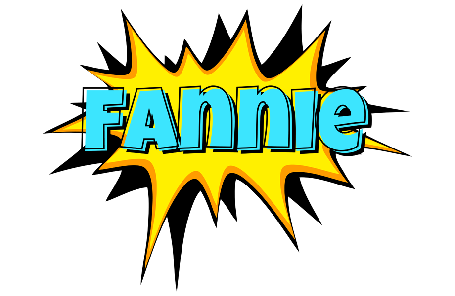 Fannie indycar logo