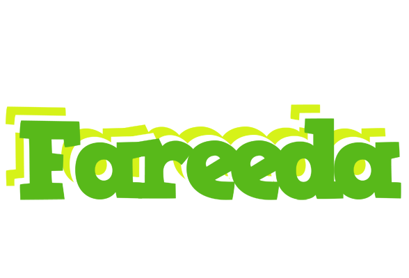 Fareeda picnic logo