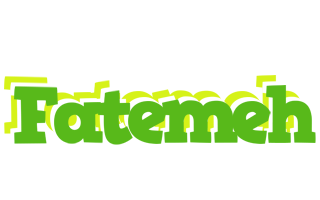 Fatemeh picnic logo