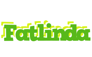 Fatlinda picnic logo