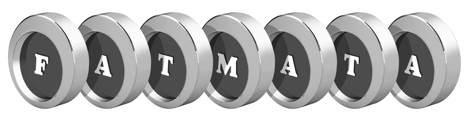Fatmata coins logo