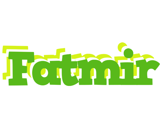 Fatmir picnic logo