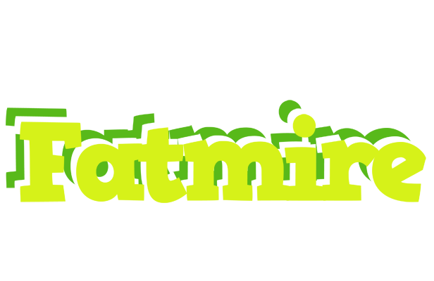 Fatmire citrus logo