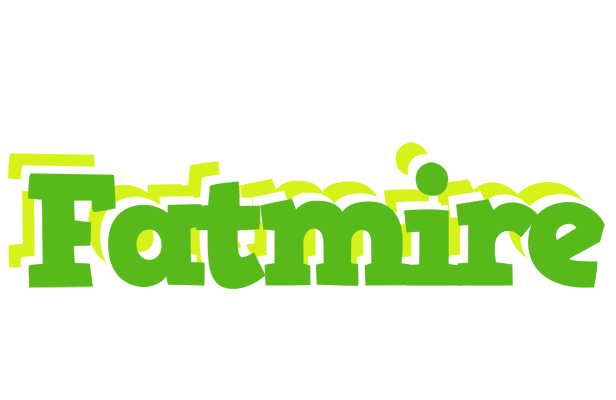 Fatmire picnic logo