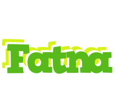 Fatna picnic logo