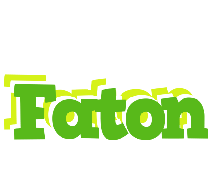 Faton picnic logo