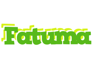 Fatuma picnic logo