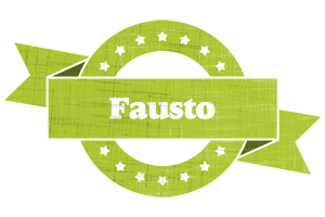 Fausto change logo