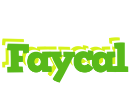 Faycal picnic logo