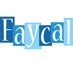 Faycal winter logo