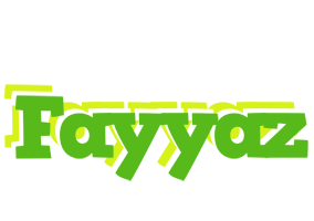 Fayyaz picnic logo