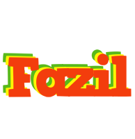 Fazil bbq logo