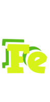 Fe citrus logo