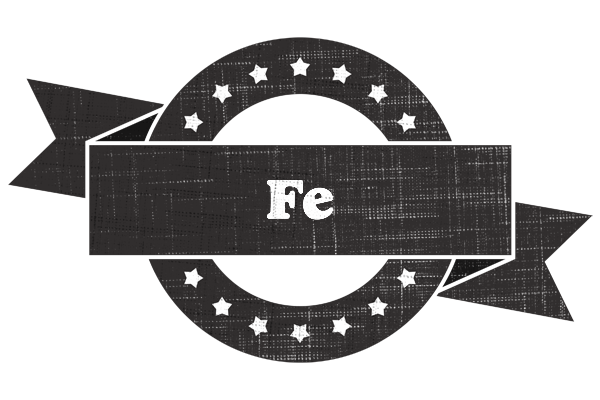 Fe grunge logo