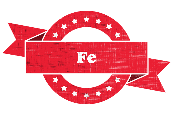 Fe passion logo