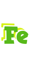 Fe picnic logo