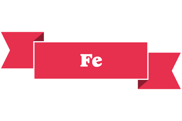 Fe sale logo